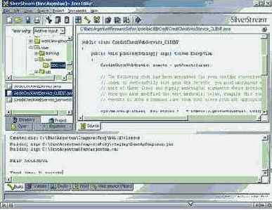Novell exteNd